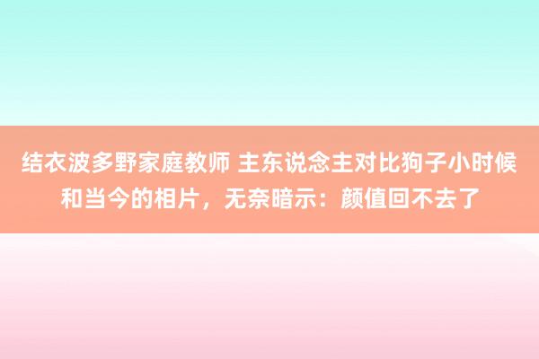 结衣波多野家庭教师 主东说念主对比狗子小时候和当今的相片，无奈暗示：颜值回不去了