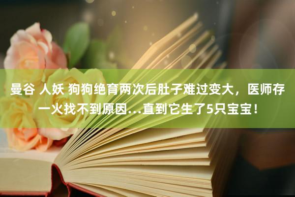 曼谷 人妖 狗狗绝育两次后肚子难过变大，医师存一火找不到原因…直到它生了5只宝宝！