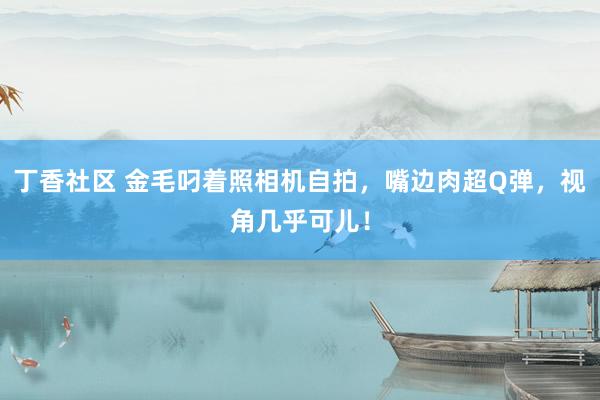 丁香社区 金毛叼着照相机自拍，嘴边肉超Q弹，视角几乎可儿！