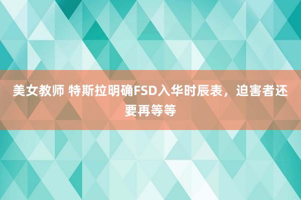 美女教师 特斯拉明确FSD入华时辰表，迫害者还要再等等