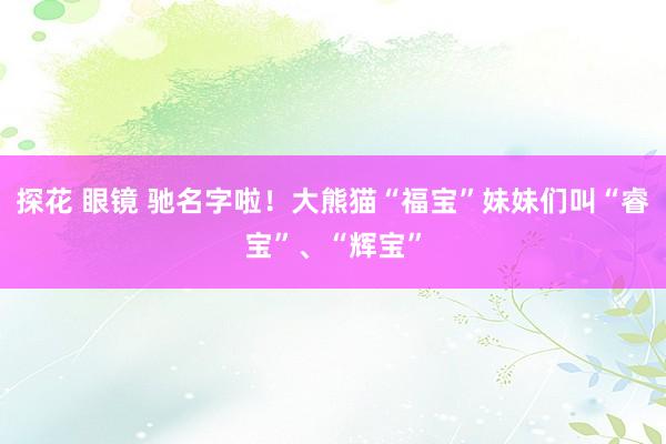 探花 眼镜 驰名字啦！大熊猫“福宝”妹妹们叫“睿宝”、“辉宝”