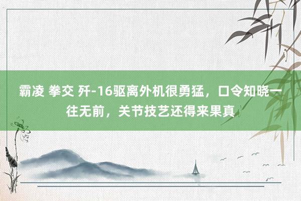 霸凌 拳交 歼-16驱离外机很勇猛，口令知晓一往无前，关节技艺还得来果真