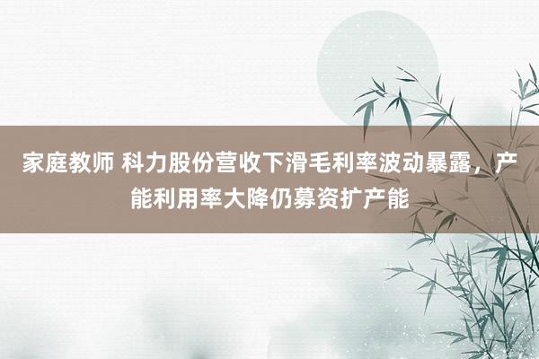 家庭教师 科力股份营收下滑毛利率波动暴露，产能利用率大降仍募资扩产能