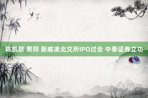 陈凯歌 男同 新威凌北交所IPO过会 中泰证券立功