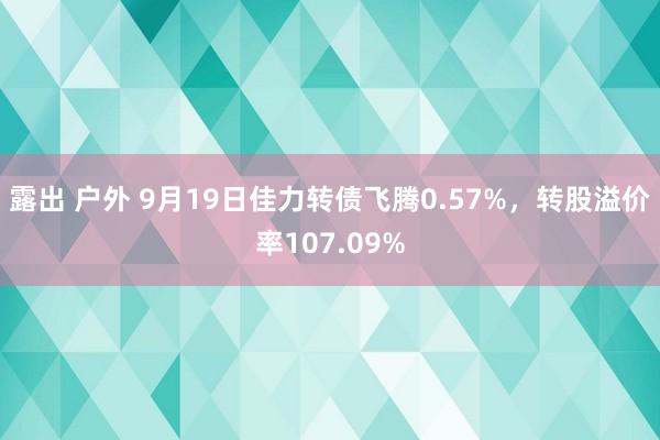 露出 户外 9月19日佳力转债飞腾0.57%，转股溢价率107.09%