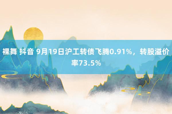 裸舞 抖音 9月19日沪工转债飞腾0.91%，转股溢价率73.5%