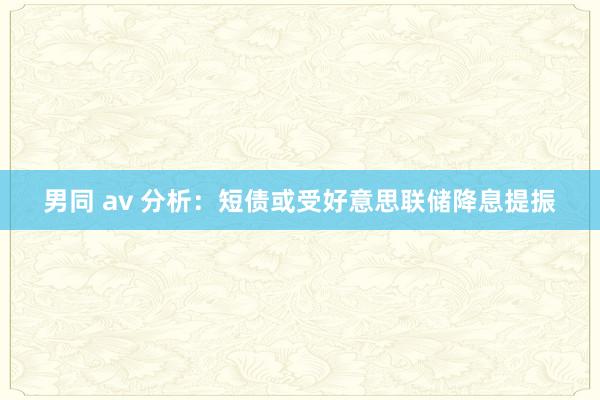 男同 av 分析：短债或受好意思联储降息提振