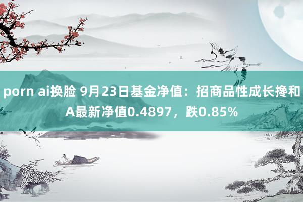 porn ai换脸 9月23日基金净值：招商品性成长搀和A最新净值0.4897，跌0.85%