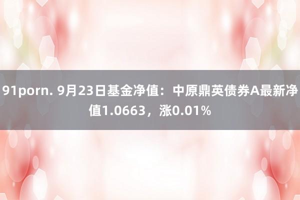 91porn. 9月23日基金净值：中原鼎英债券A最新净值1.0663，涨0.01%