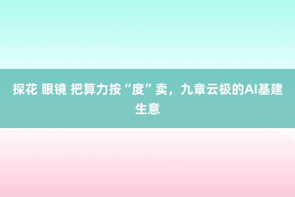 探花 眼镜 把算力按“度”卖，九章云极的AI基建生意