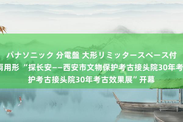 パナソニック 分電盤 大形リミッタースペース付 露出・半埋込両用形 “探长安——西安市文物保护考古接头院30年考古效果展”开幕