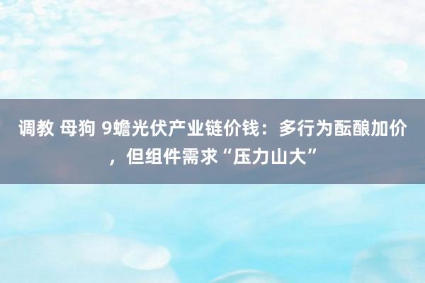 调教 母狗 9蟾光伏产业链价钱：多行为酝酿加价，但组件需求“压力山大”