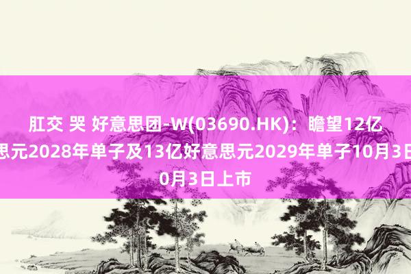 肛交 哭 好意思团-W(03690.HK)：瞻望12亿好意思元2028年单子及13亿好意思元2029年单子10月3日上市