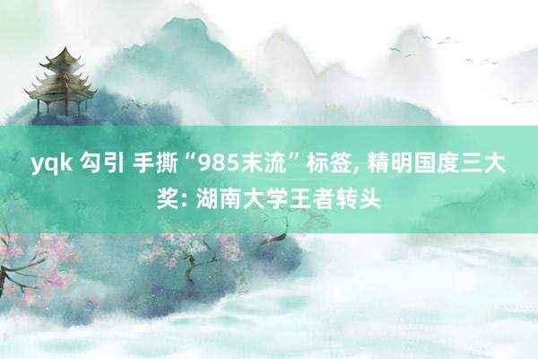 yqk 勾引 手撕“985末流”标签， 精明国度三大奖: 湖南大学王者转头