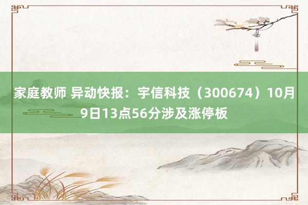 家庭教师 异动快报：宇信科技（300674）10月9日13点56分涉及涨停板