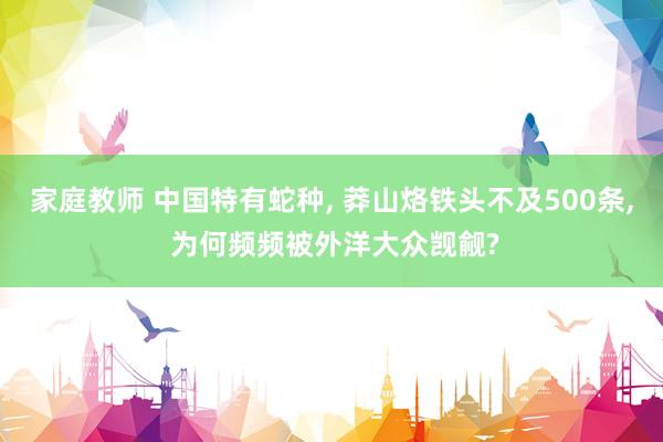 家庭教师 中国特有蛇种， 莽山烙铁头不及500条， 为何频频被外洋大众觊觎?