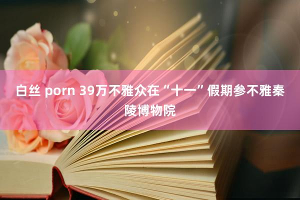 白丝 porn 39万不雅众在“十一”假期参不雅秦陵博物院