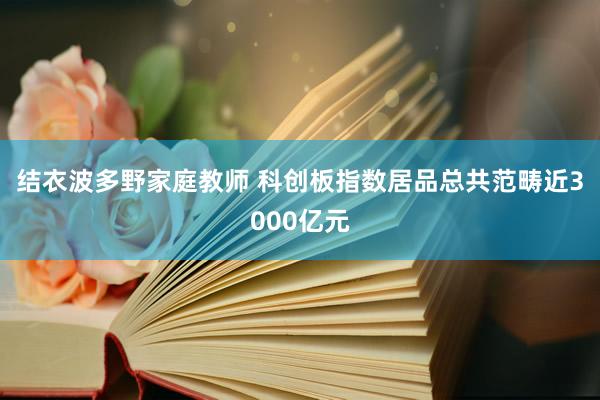 结衣波多野家庭教师 科创板指数居品总共范畴近3000亿元