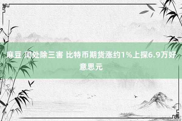 麻豆 周处除三害 比特币期货涨约1%上探6.9万好意思元