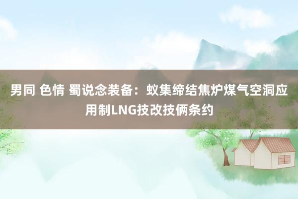 男同 色情 蜀说念装备：蚁集缔结焦炉煤气空洞应用制LNG技改技俩条约