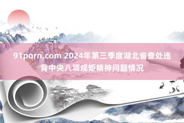 91porn，com 2024年第三季度湖北省查处违背中央八项规矩精神问题情况