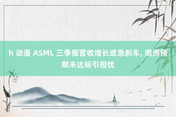 h 动漫 ASML 三季报营收增长或急刹车， 阛阓预期未达标引担忧