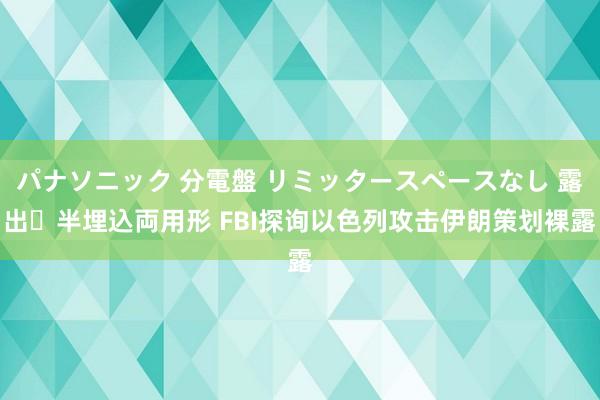 パナソニック 分電盤 リミッタースペースなし 露出・半埋込両用形 FBI探询以色列攻击伊朗策划裸露