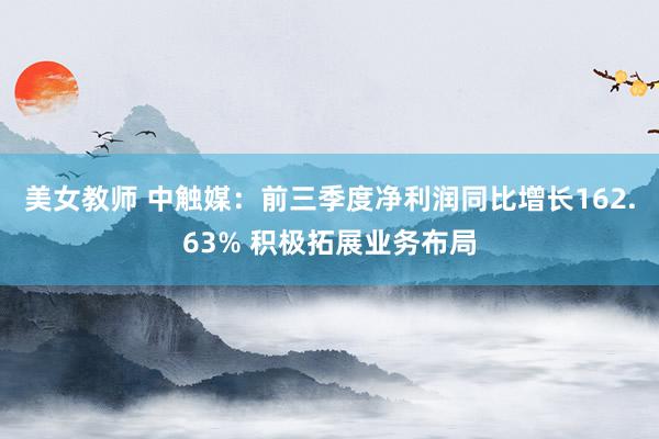 美女教师 中触媒：前三季度净利润同比增长162.63% 积极拓展业务布局