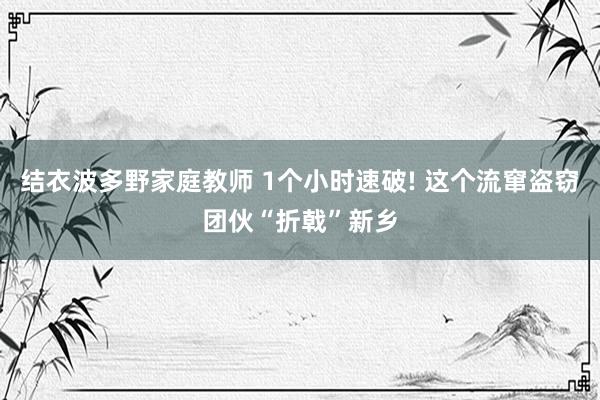 结衣波多野家庭教师 1个小时速破! 这个流窜盗窃团伙“折戟”新乡