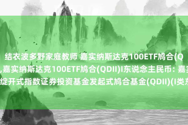 结衣波多野家庭教师 嘉实纳斯达克100ETF鸠合(QDII)A东说念主民币，嘉实纳斯达克100ETF鸠合(QDII)I东说念主民币: 嘉实纳斯达克100往复型绽开式指数证券投资基金发起式鸠合基金(QDII)(I类东说念主民币份额)基金居品贵府摘抄更新(2024年10月30日)