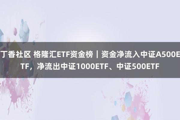 丁香社区 格隆汇ETF资金榜｜资金净流入中证A500ETF，净流出中证1000ETF、中证500ETF