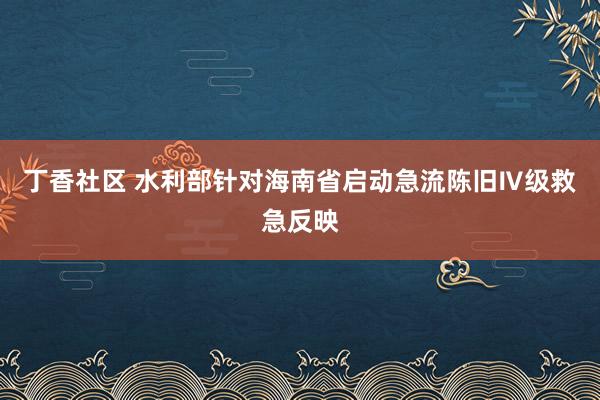 丁香社区 水利部针对海南省启动急流陈旧Ⅳ级救急反映