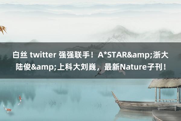 白丝 twitter 强强联手！A*STAR&浙大陆俊&上科大刘巍，最新Nature子刊！