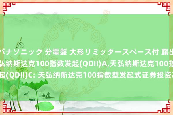 パナソニック 分電盤 大形リミッタースペース付 露出・半埋込両用形 天弘纳斯达克100指数发起(QDII)A，天弘纳斯达克100指数发起(QDII)C: 天弘纳斯达克100指数型发起式证券投资基金(QDII)招募讲明书(更新)