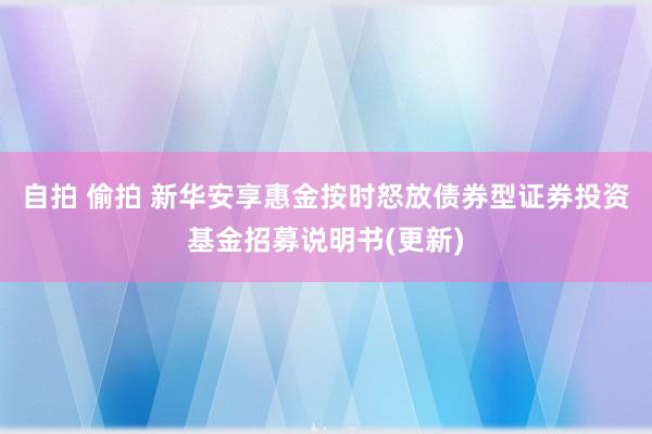 自拍 偷拍 新华安享惠金按时怒放债券型证券投资基金招募说明书(更新)