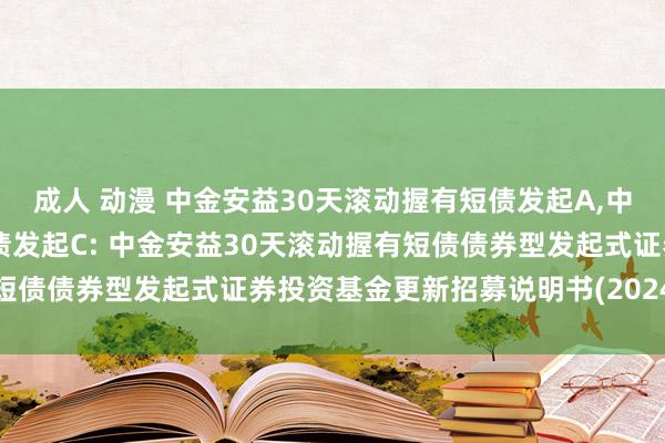 成人 动漫 中金安益30天滚动握有短债发起A，中金安益30天滚动握有短债发起C: 中金安益30天滚动握有短债债券型发起式证券投资基金更新招募说明书(2024年第1号)