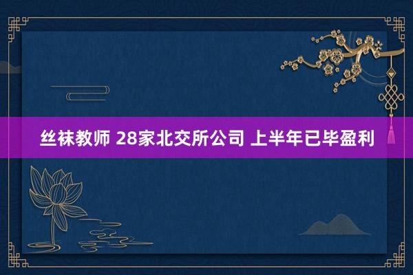 丝袜教师 28家北交所公司 上半年已毕盈利