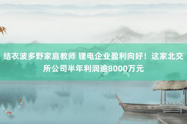 结衣波多野家庭教师 锂电企业盈利向好！这家北交所公司半年利润逾8000万元