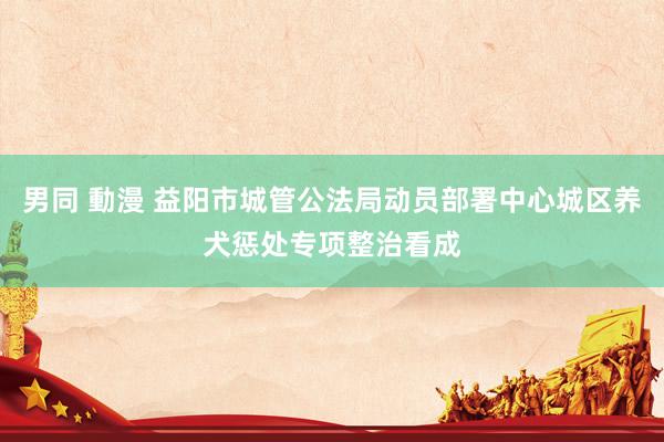 男同 動漫 益阳市城管公法局动员部署中心城区养犬惩处专项整治看成