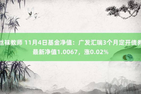 丝袜教师 11月4日基金净值：广发汇瑞3个月定开债券最新净值1.0067，涨0.02%