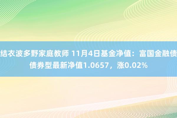 结衣波多野家庭教师 11月4日基金净值：富国金融债债券型最新净值1.0657，涨0.02%