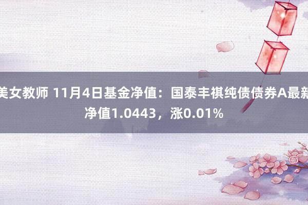 美女教师 11月4日基金净值：国泰丰祺纯债债券A最新净值1.0443，涨0.01%