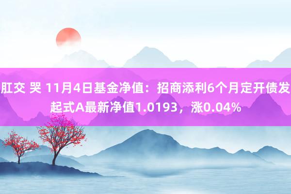 肛交 哭 11月4日基金净值：招商添利6个月定开债发起式A最新净值1.0193，涨0.04%