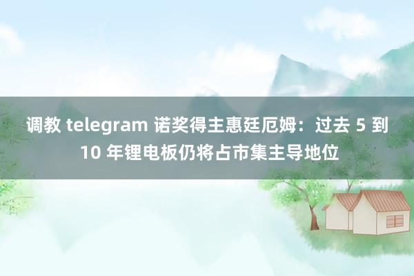 调教 telegram 诺奖得主惠廷厄姆：过去 5 到 10 年锂电板仍将占市集主导地位