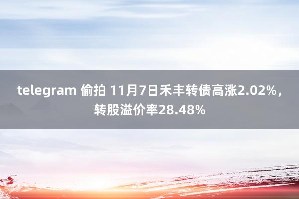 telegram 偷拍 11月7日禾丰转债高涨2.02%，转股溢价率28.48%