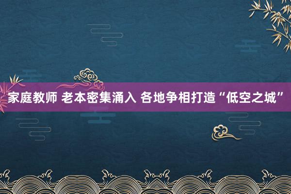 家庭教师 老本密集涌入 各地争相打造“低空之城”