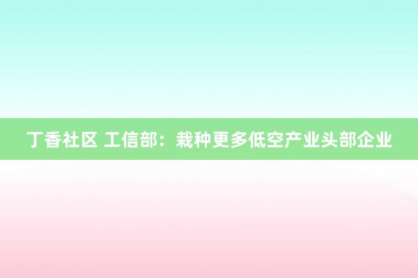 丁香社区 工信部：栽种更多低空产业头部企业