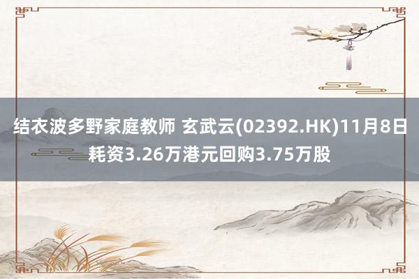 结衣波多野家庭教师 玄武云(02392.HK)11月8日耗资3.26万港元回购3.75万股