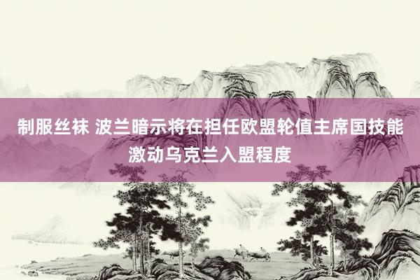 制服丝袜 波兰暗示将在担任欧盟轮值主席国技能激动乌克兰入盟程度