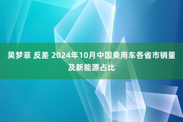 吴梦菲 反差 2024年10月中国乘用车各省市销量及新能源占比